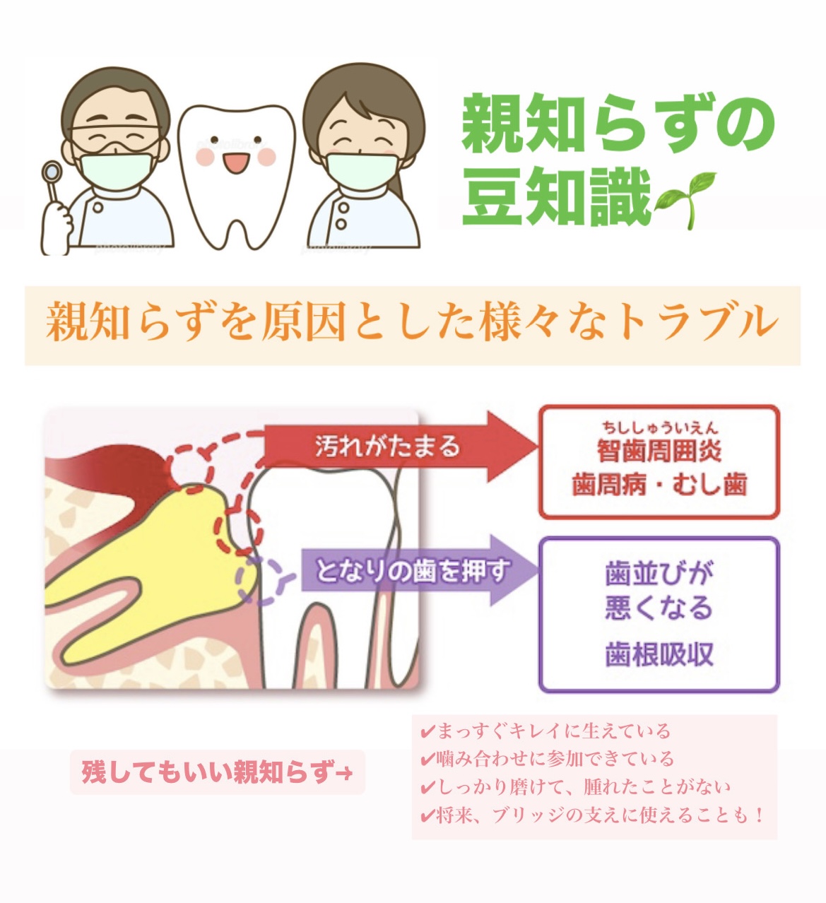 親知らずについて🦷