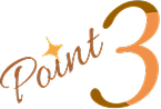 point03